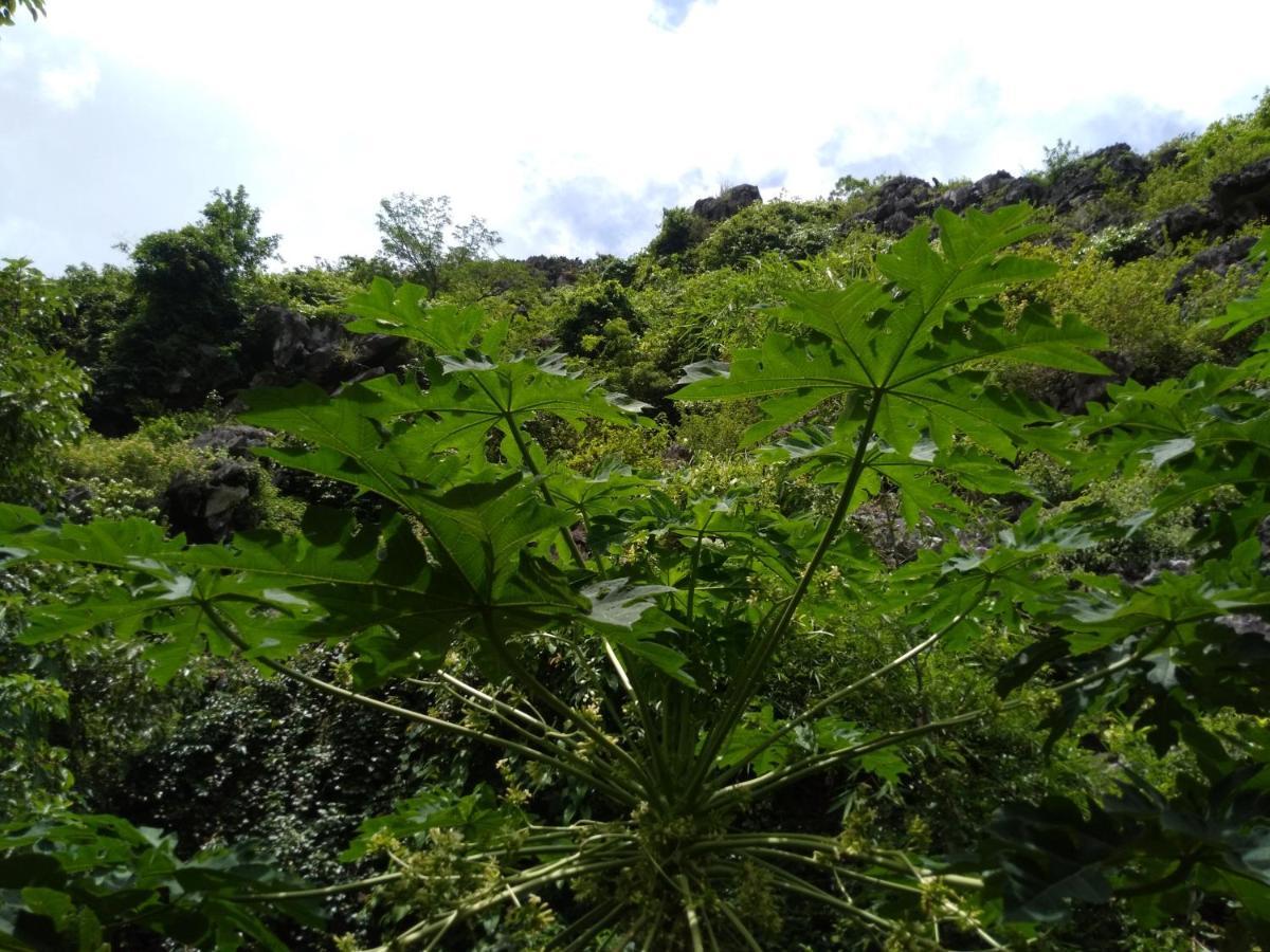 Ali Homestay นิญบิ่ญ ภายนอก รูปภาพ