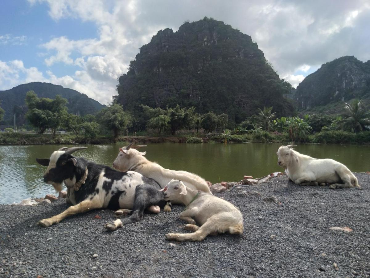 Ali Homestay นิญบิ่ญ ภายนอก รูปภาพ